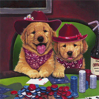 chien qui joue au poker