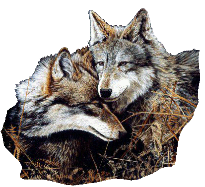 loups ensemble