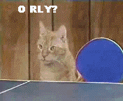 chats en parties de ping pong