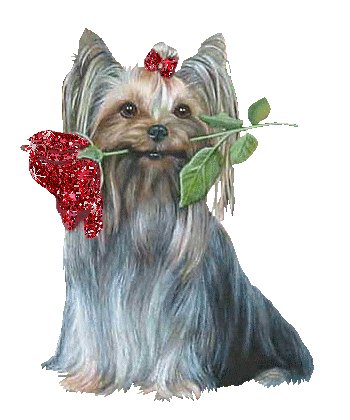 chien avec rose scintillante