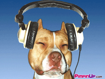 chien qui ecoute musique