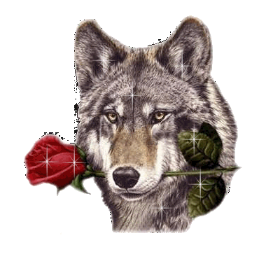 loup romantique