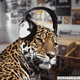 jaguard qui ecoute de la musique