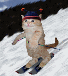 chat ski