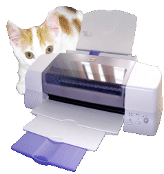 chat qui joue avec imprimante
