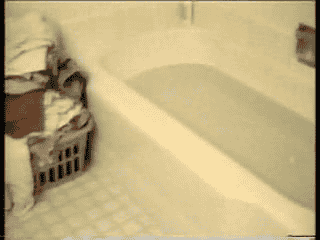 chat qui prend vite son bain