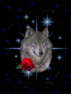 http://animalblog.a.n.pic.centerblog.net/xy11tje5.gif